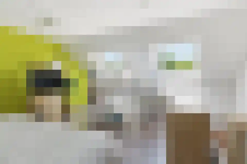 Klein Belgie 43 3770 Vijfhuizen thumbnail 27