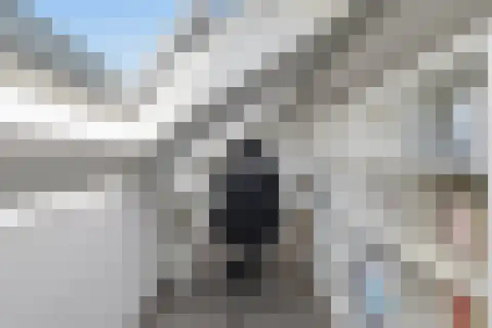 Klein Belgie 43 3770 Vijfhuizen thumbnail 28