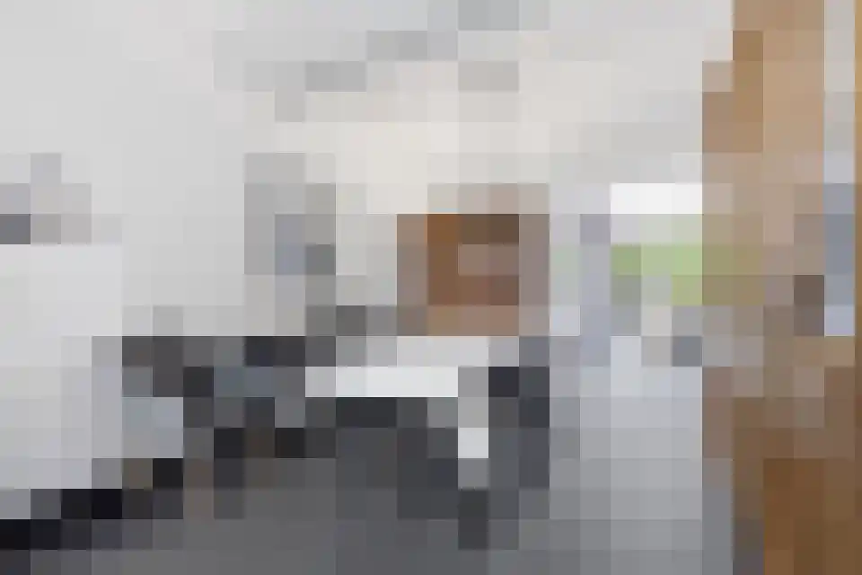 Klein Belgie 43 3770 Vijfhuizen thumbnail 6