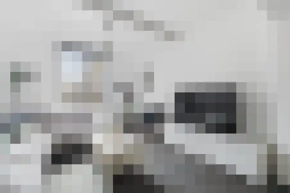 Klein Belgie 43 3770 Vijfhuizen thumbnail 8