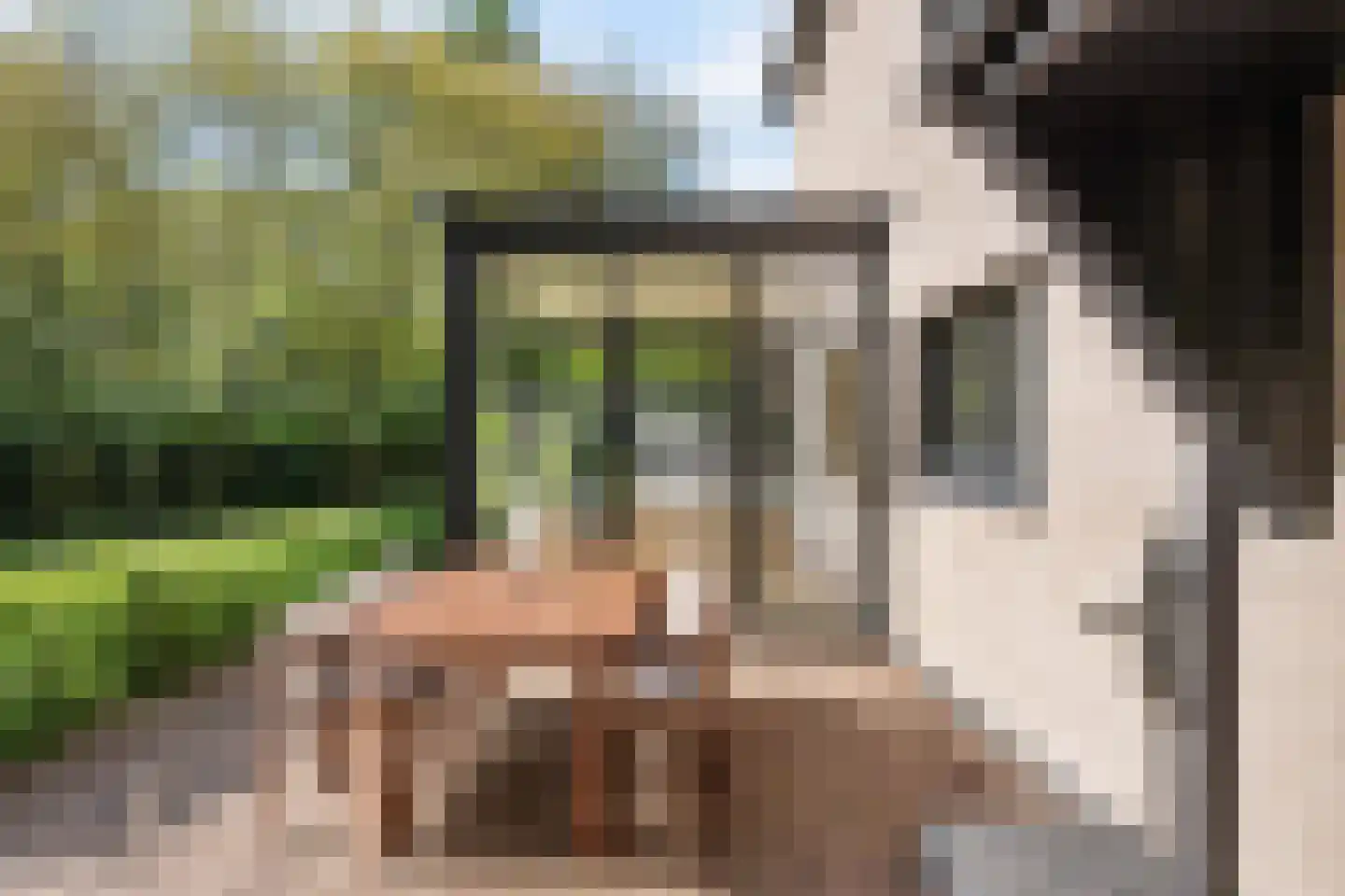 Klein Belgie 43 Vijfhuizen thumbnail 35