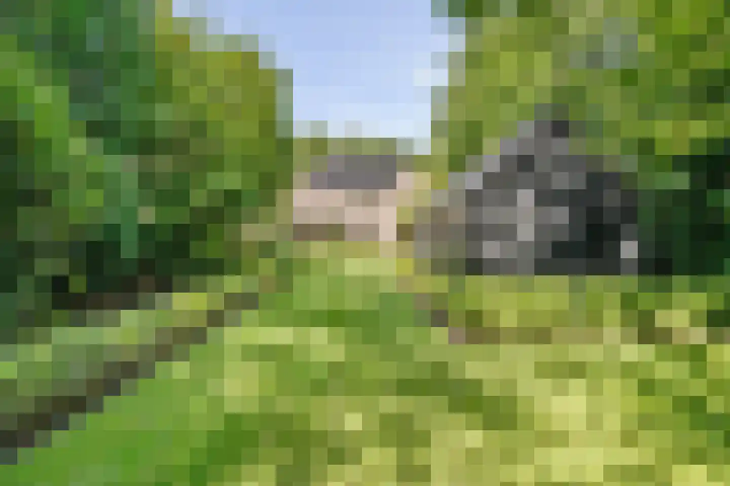 Klein Belgie 43 Vijfhuizen thumbnail 38