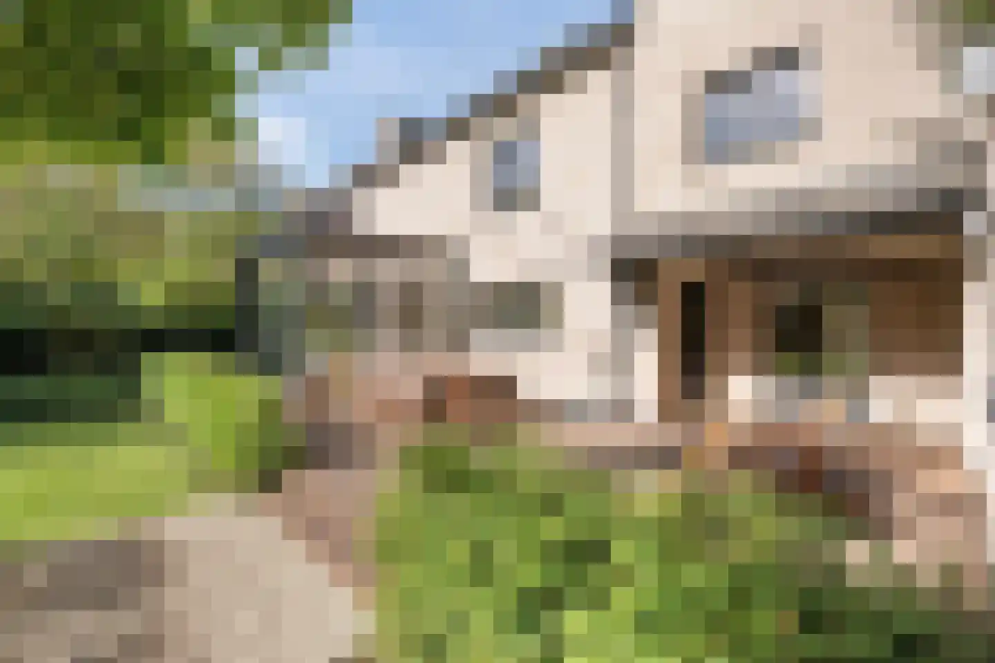 Klein Belgie 43 Vijfhuizen thumbnail 4