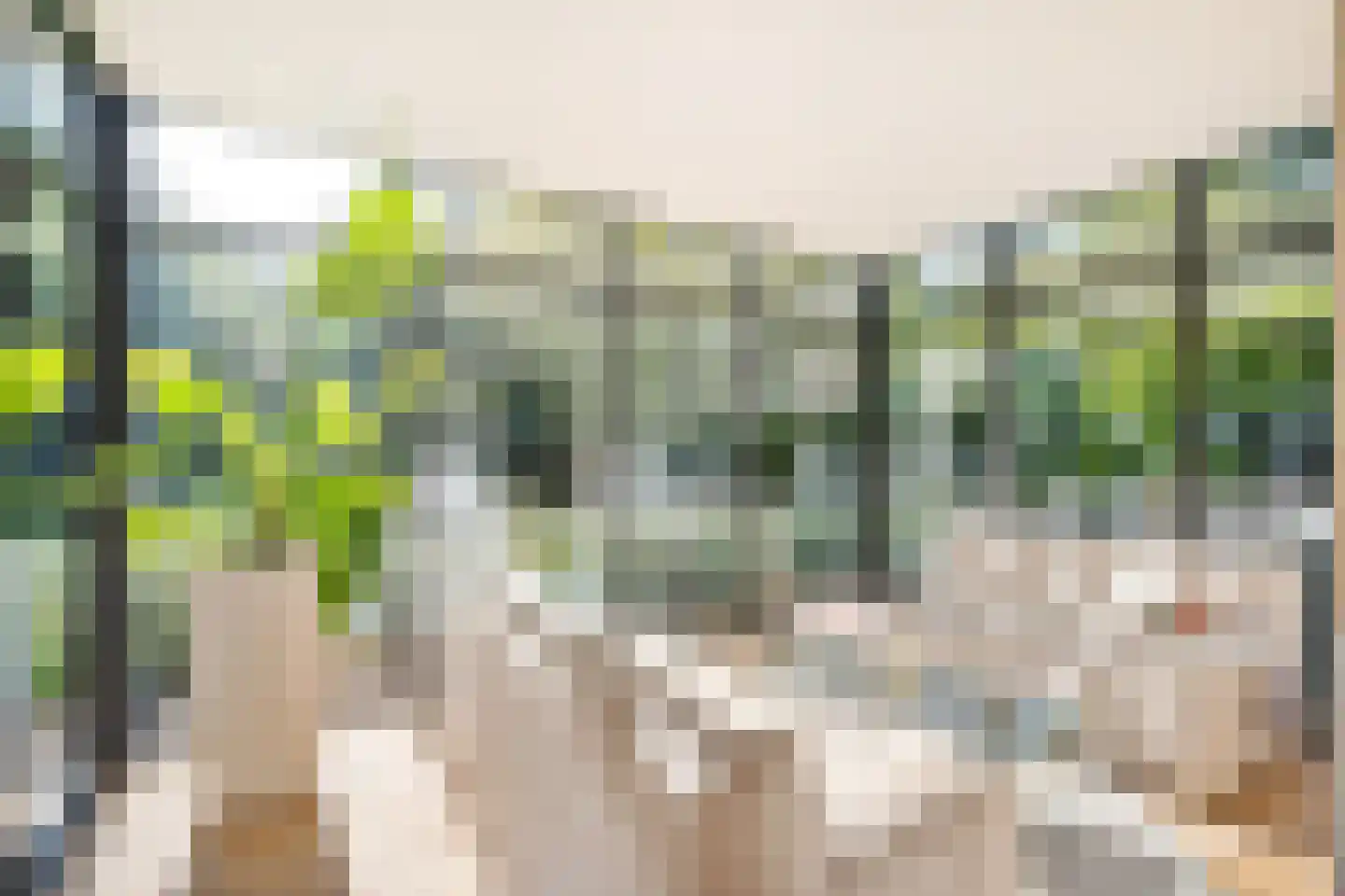 Klein Belgie 43 Vijfhuizen thumbnail 8