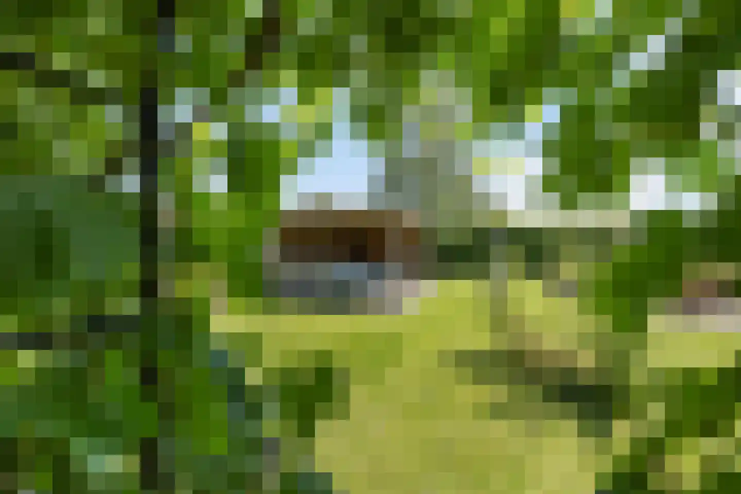 Klein Belgie 44 Vijfhuizen thumbnail 31