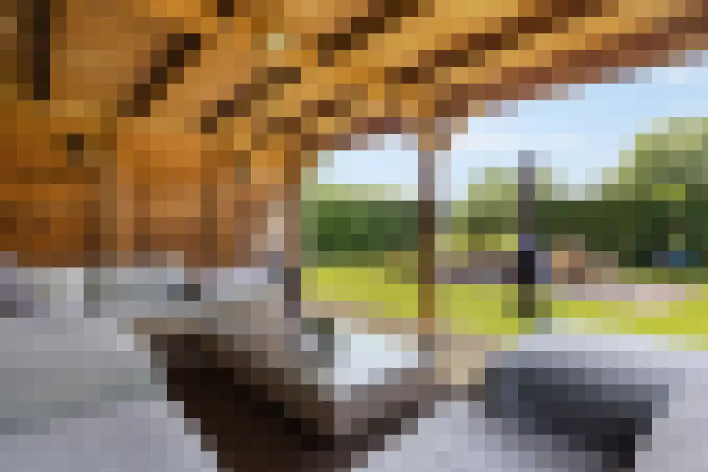 Klein Belgie 44 Vijfhuizen thumbnail 32