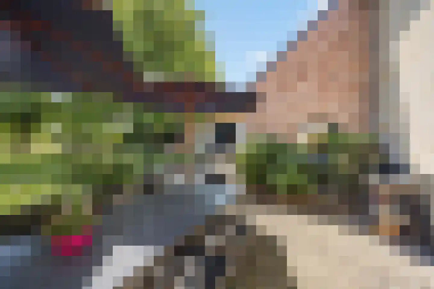 Klein Belgie 44 Vijfhuizen thumbnail 5