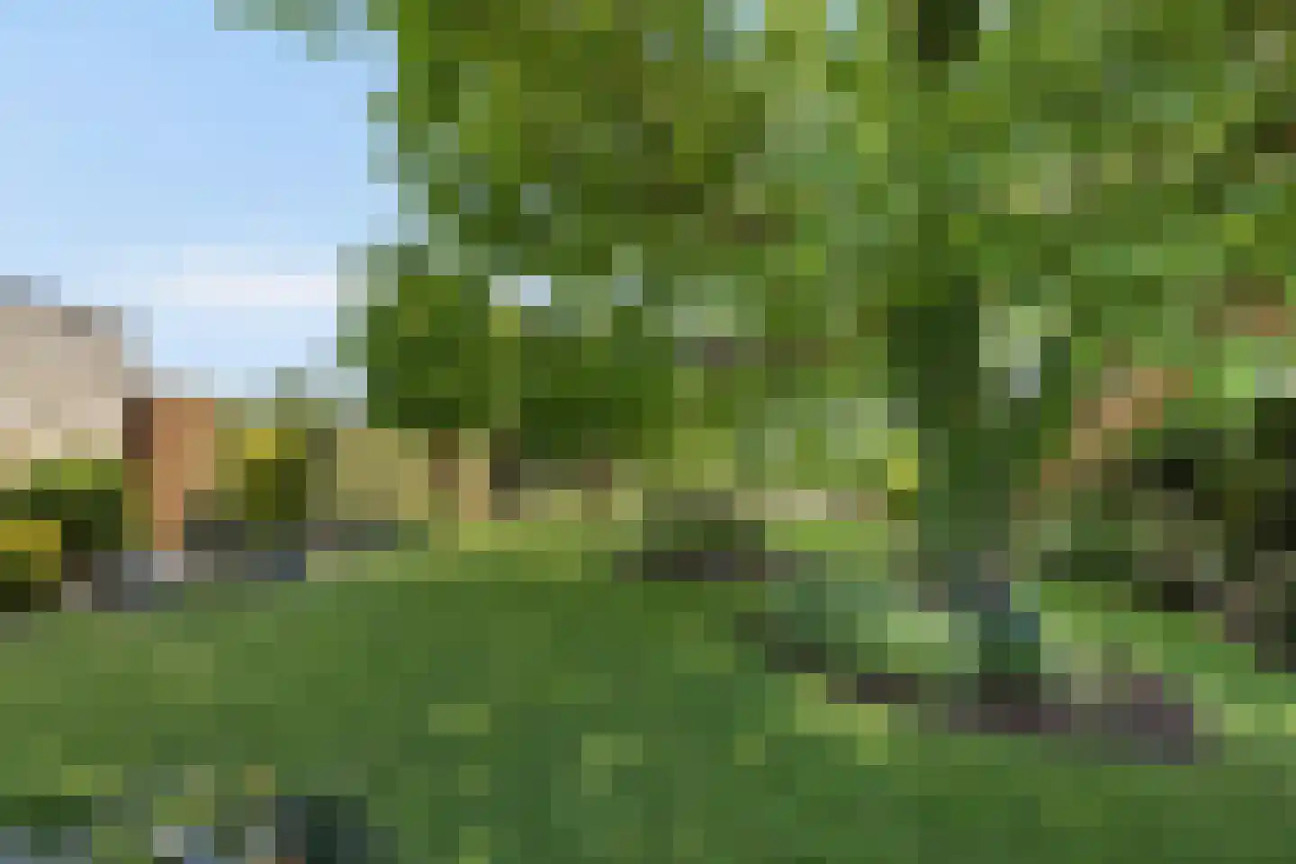 Klein Belgie 44 Vijfhuizen thumbnail 7