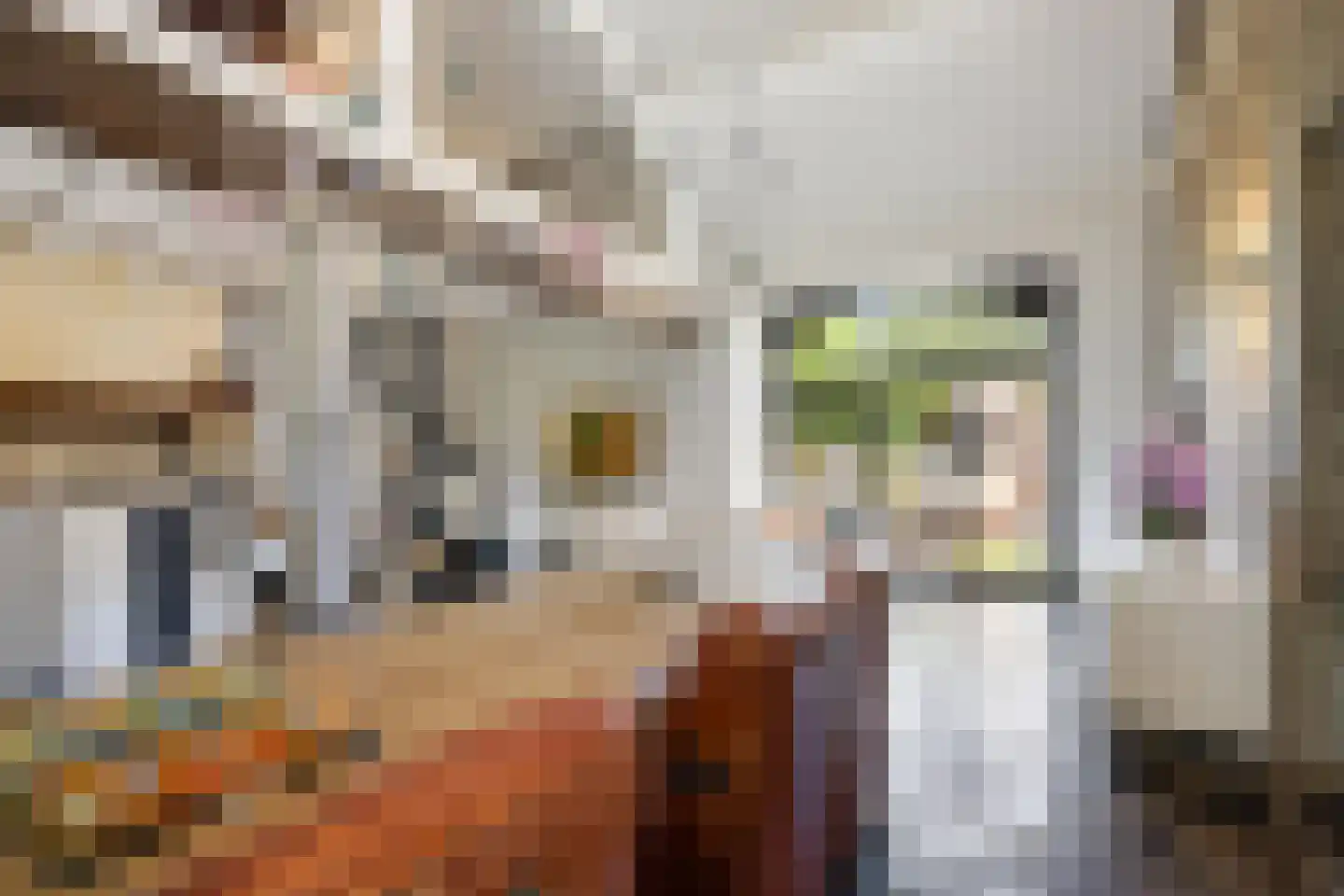 Klein Belgie 44 Vijfhuizen thumbnail 9