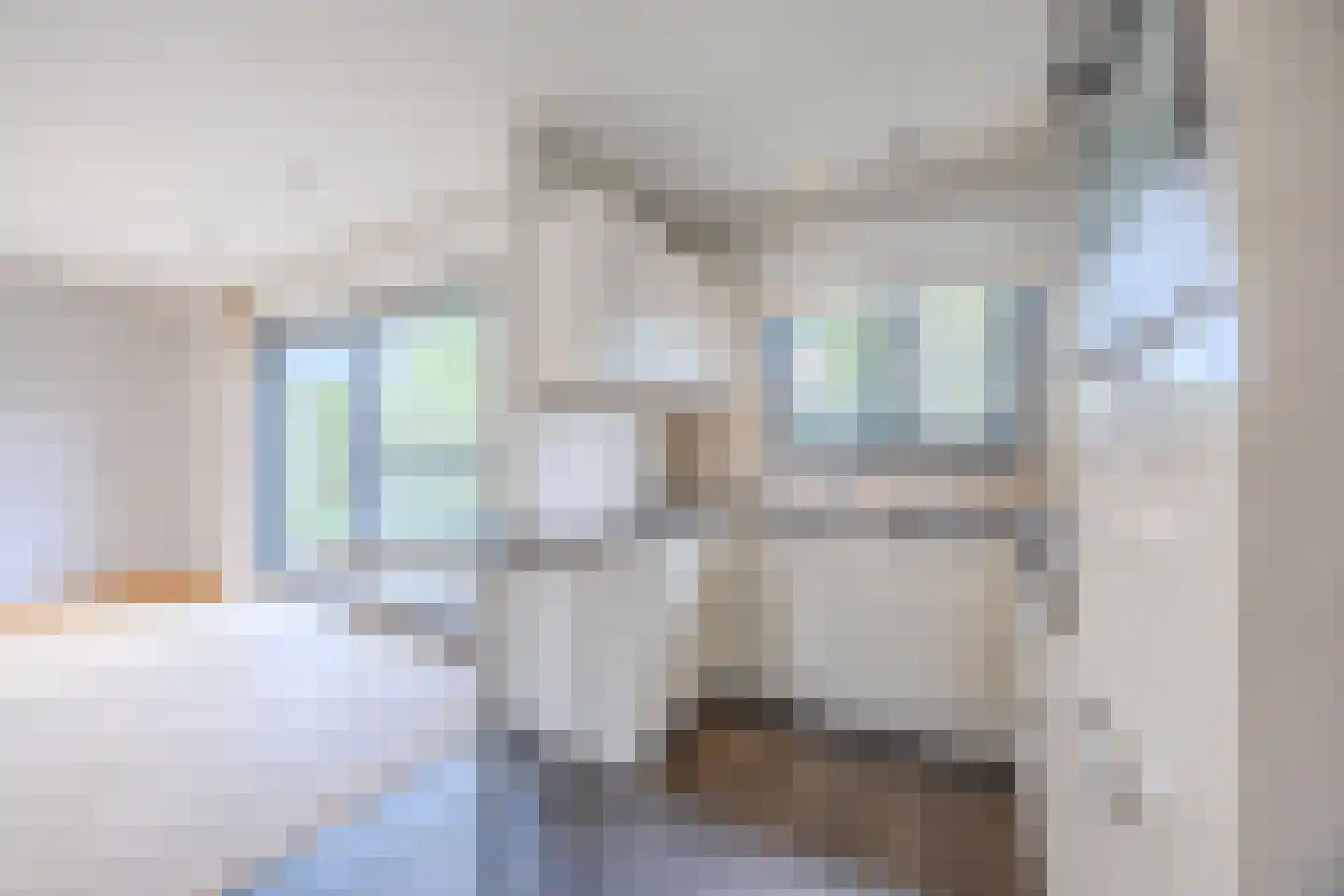 Klein Belgie 45 Vijfhuizen thumbnail 6