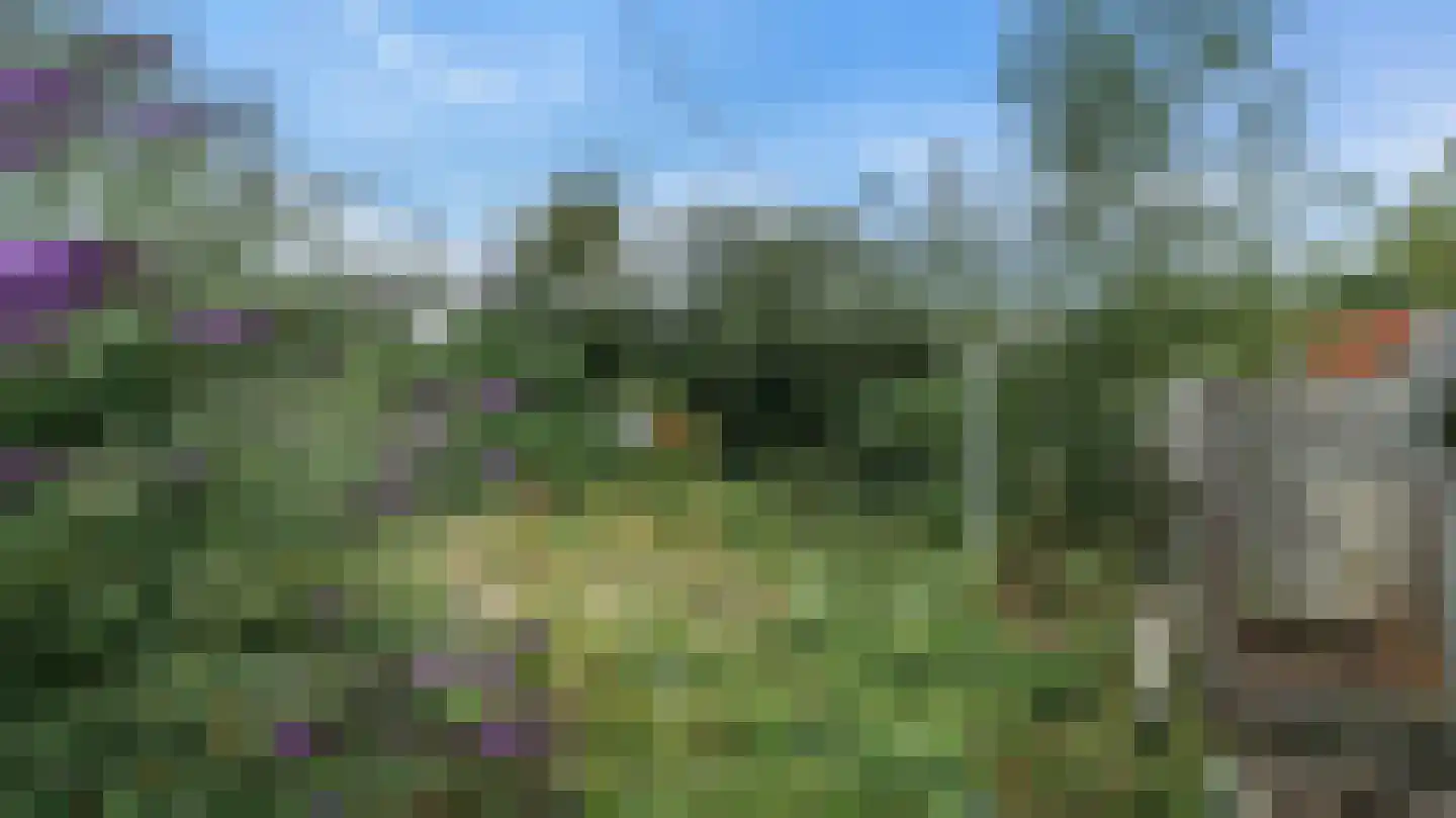 Klein Belgie 473 Vijfhuizen thumbnail 22