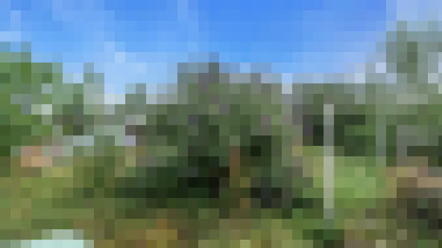 Klein Belgie 473 Vijfhuizen thumbnail 23