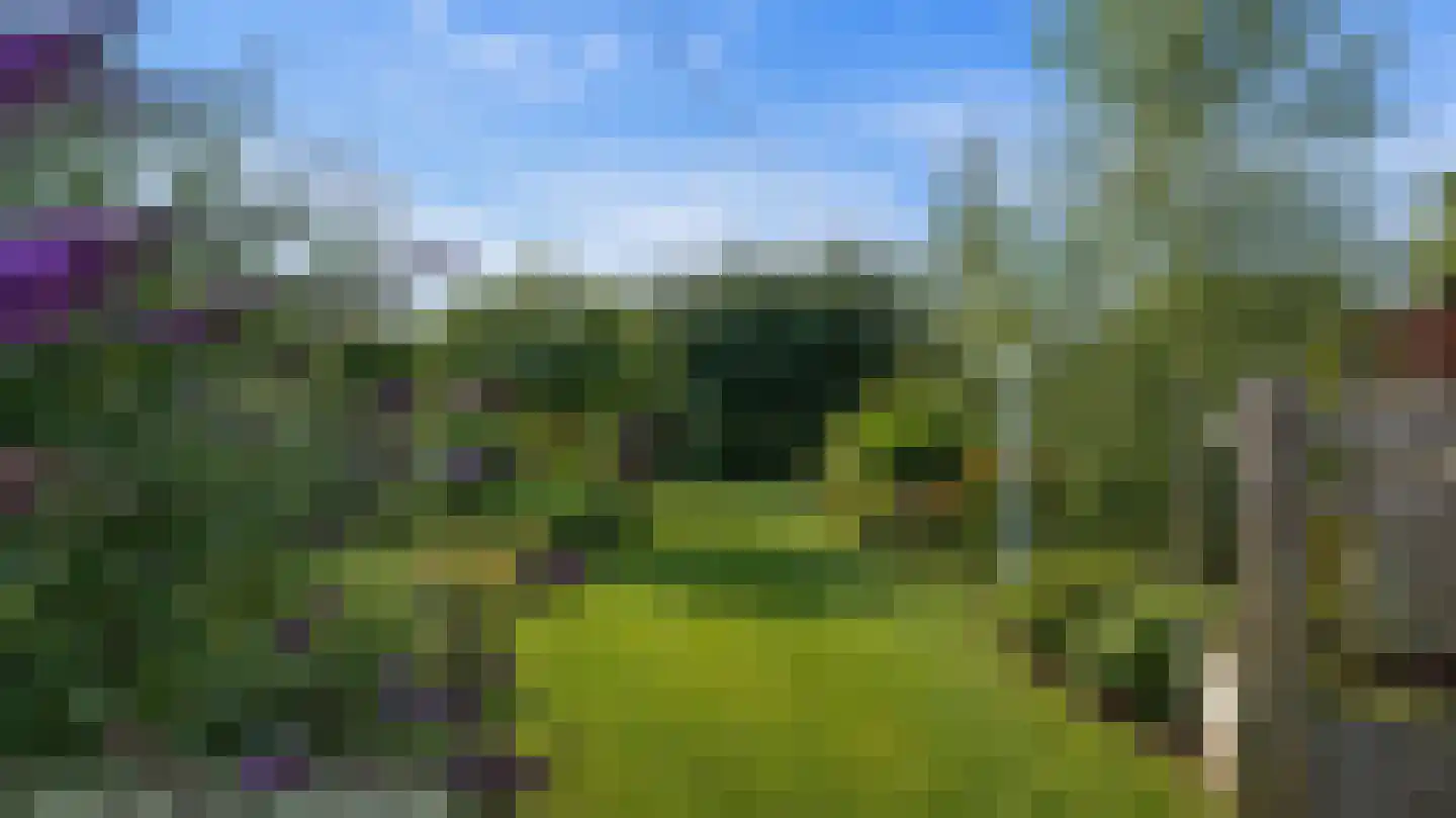 Klein Belgie 473 Vijfhuizen thumbnail 24