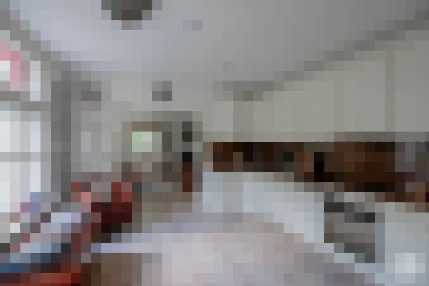 Klein Belgie 48 Vijfhuizen thumbnail 20