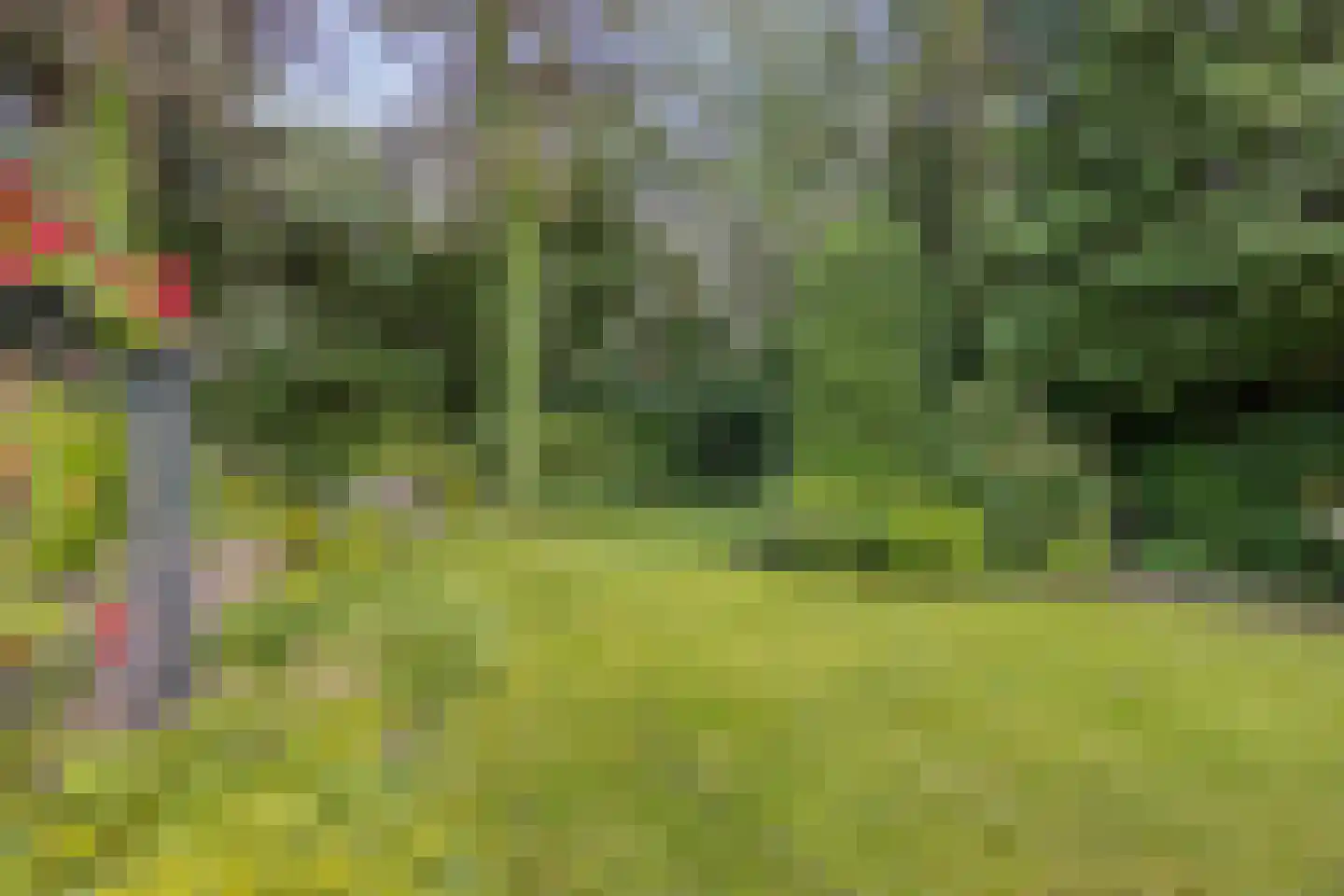 Klein Belgie 504 A Vijfhuizen thumbnail 20
