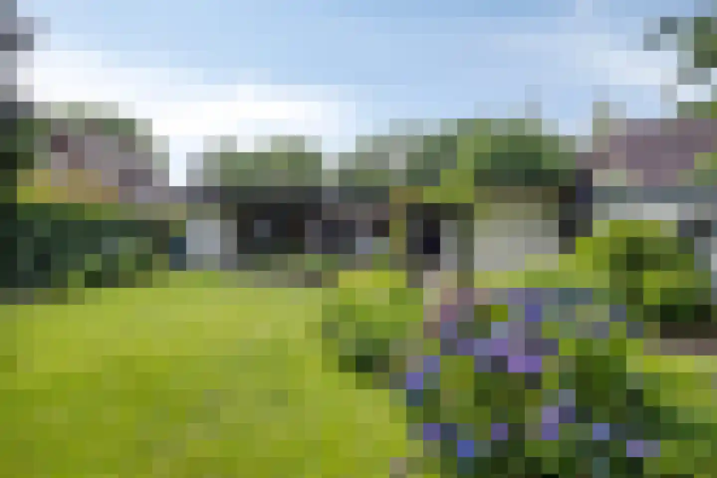 Klein Belgie 504 A Vijfhuizen thumbnail 22