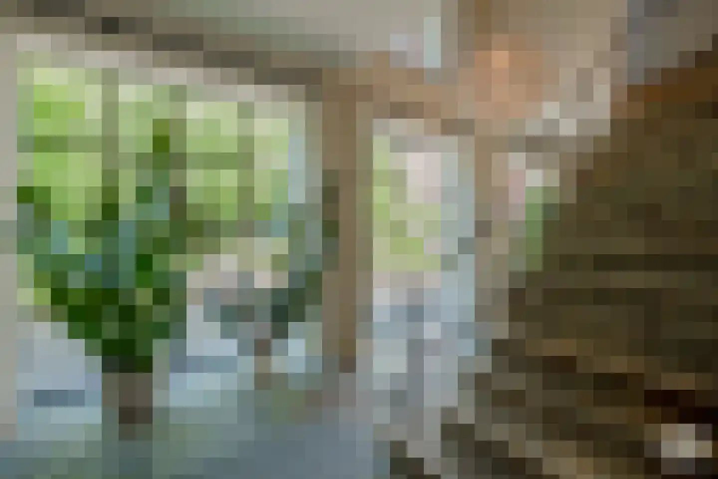 Klein Belgie 51 Vijfhuizen thumbnail 12