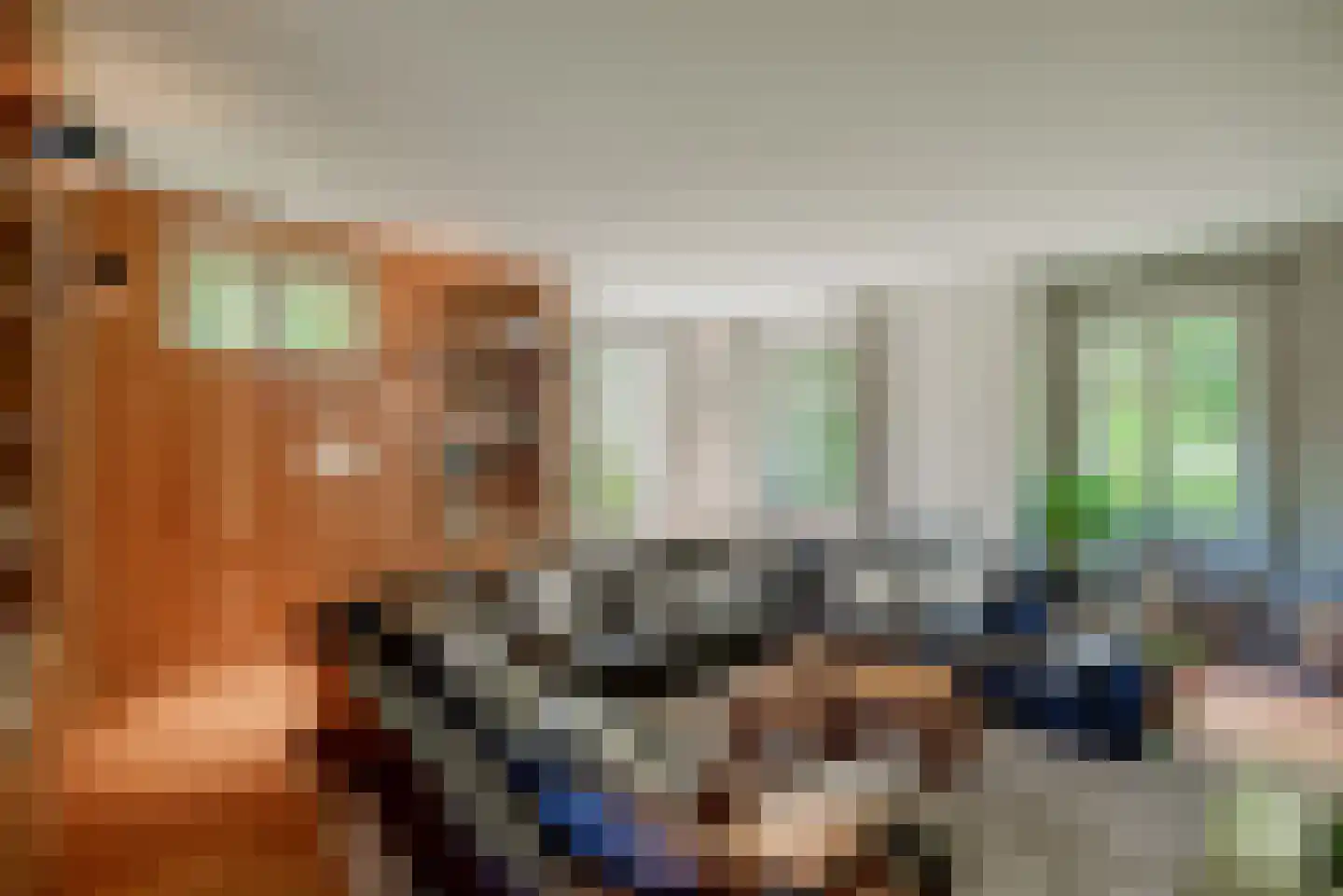 Klein Belgie 51 Vijfhuizen thumbnail 13