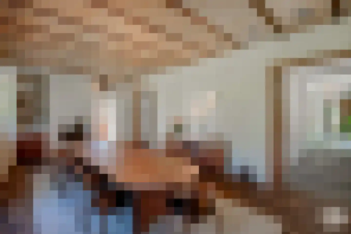 Klein Belgie 51 Vijfhuizen thumbnail 15