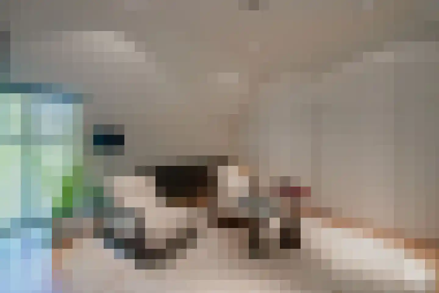 Klein Belgie 51 Vijfhuizen thumbnail 24