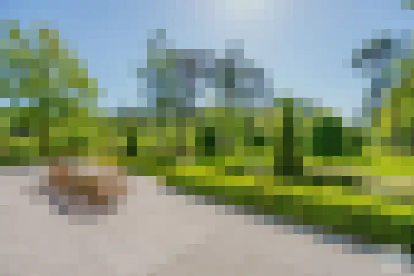 Klein Belgie 51 Vijfhuizen thumbnail 45