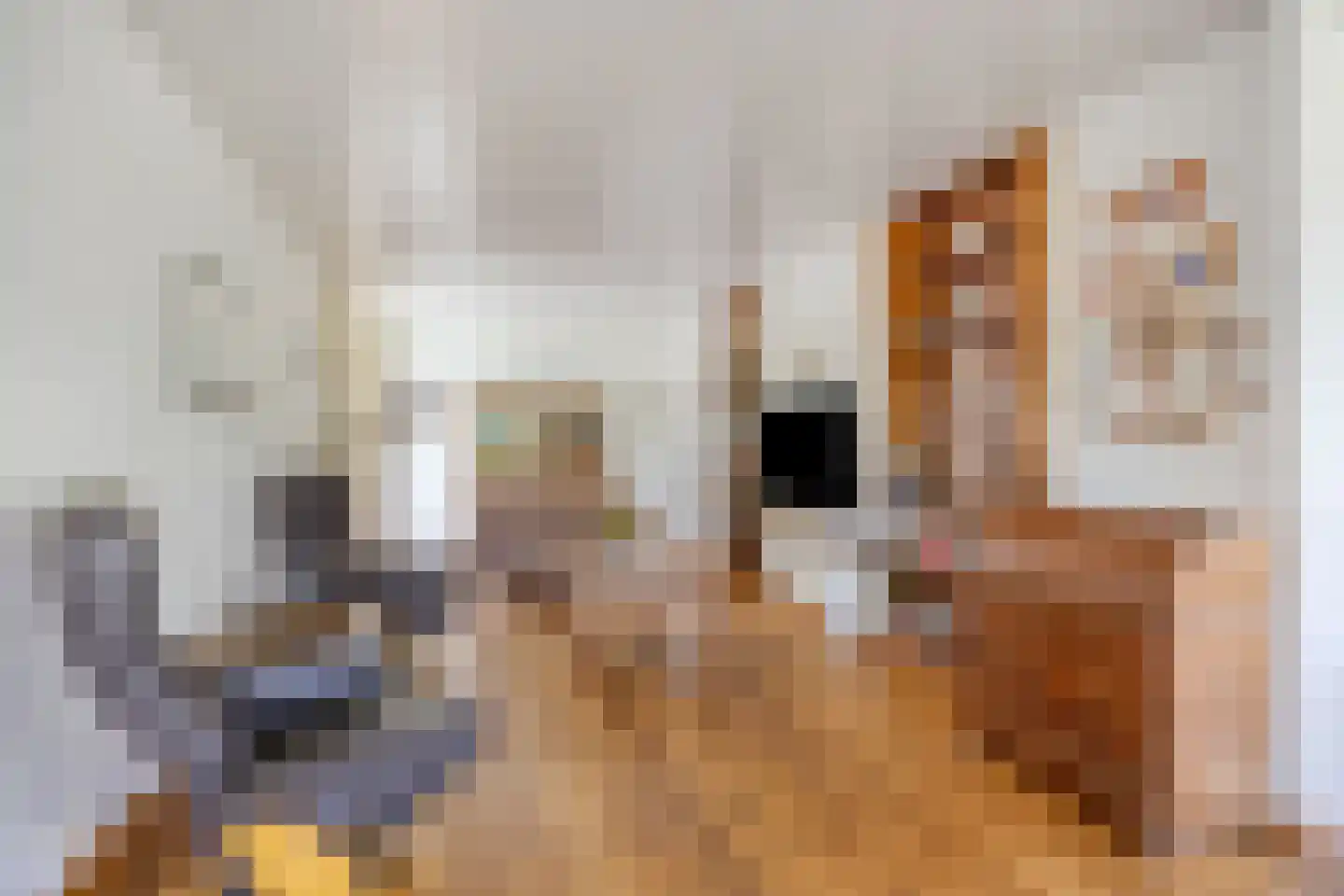 Klein Belgie 54 Vijfhuizen thumbnail 10