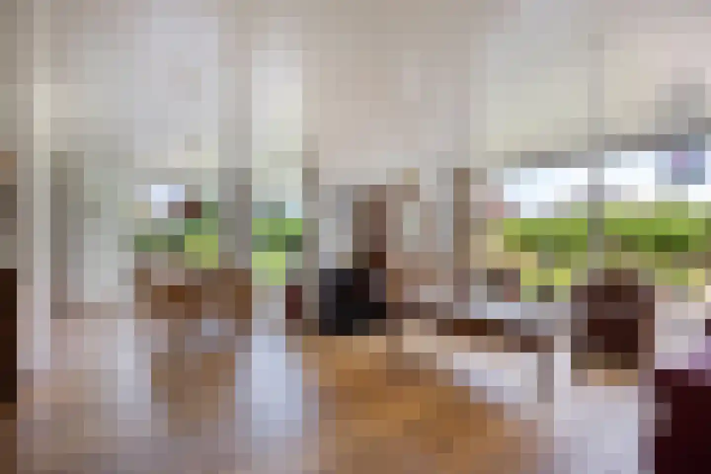 Klein Belgie 54 Vijfhuizen thumbnail 16