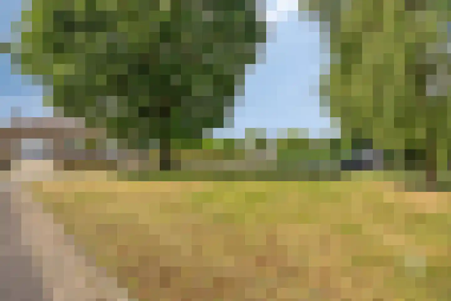 Klein Belgie 54 Vijfhuizen thumbnail 6