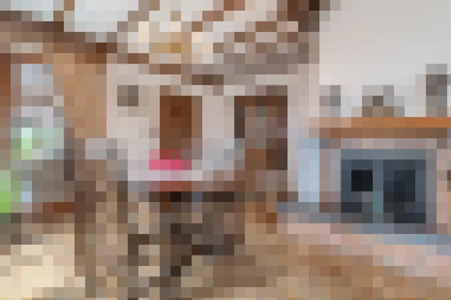 Klein Belgie 59 Vijfhuizen thumbnail 10