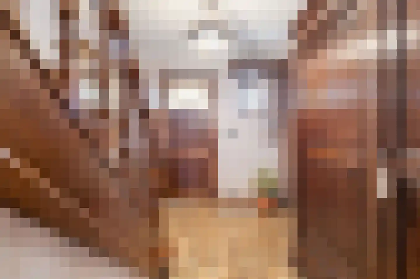 Klein Belgie 59 Vijfhuizen thumbnail 13