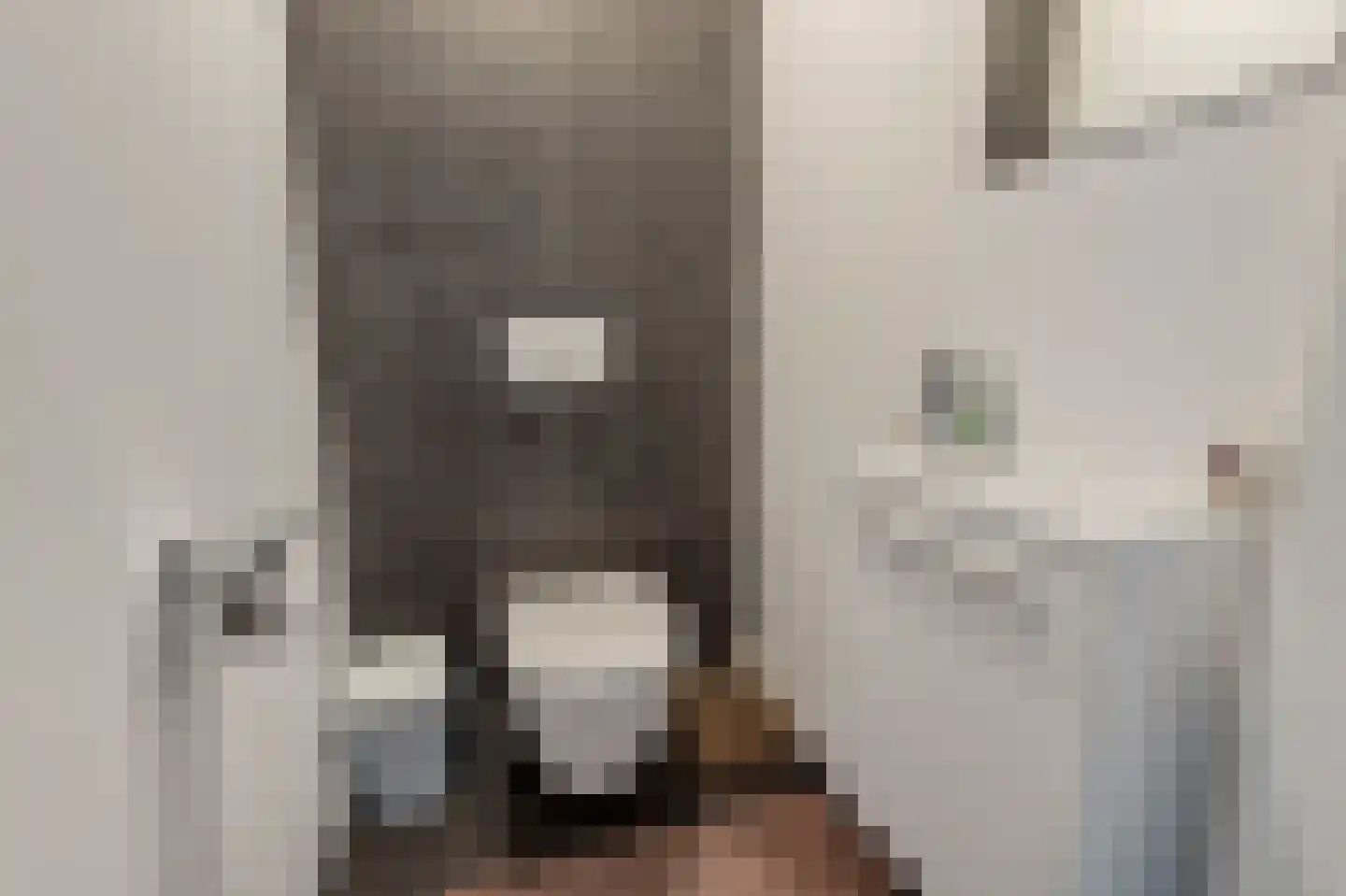 Klein Belgie 59 Vijfhuizen thumbnail 15