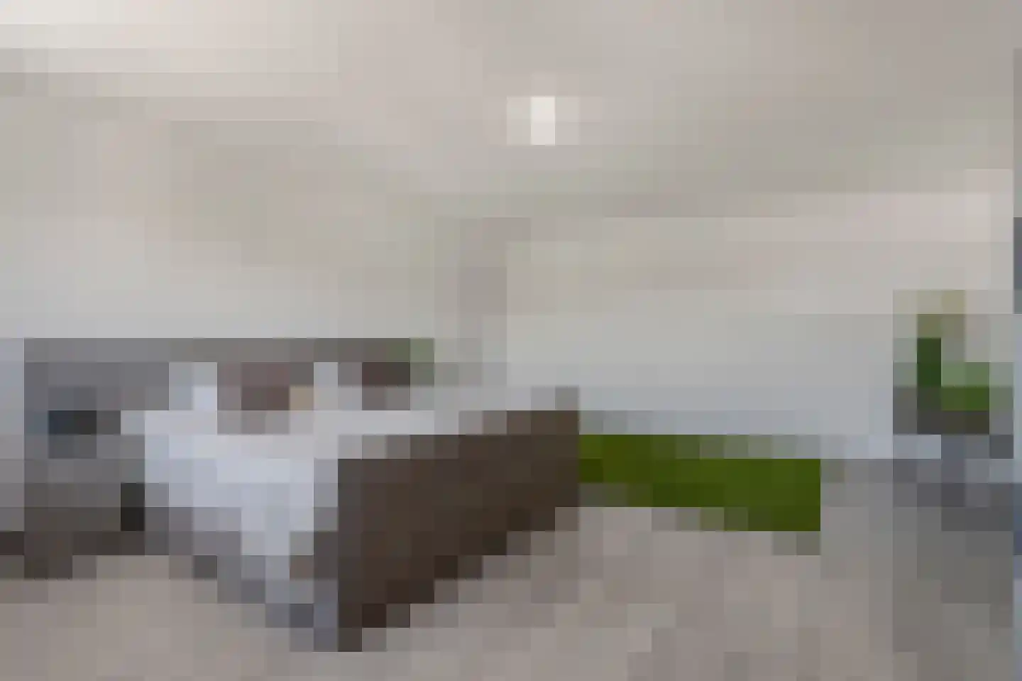 Klein Belgie 59 Vijfhuizen thumbnail 20
