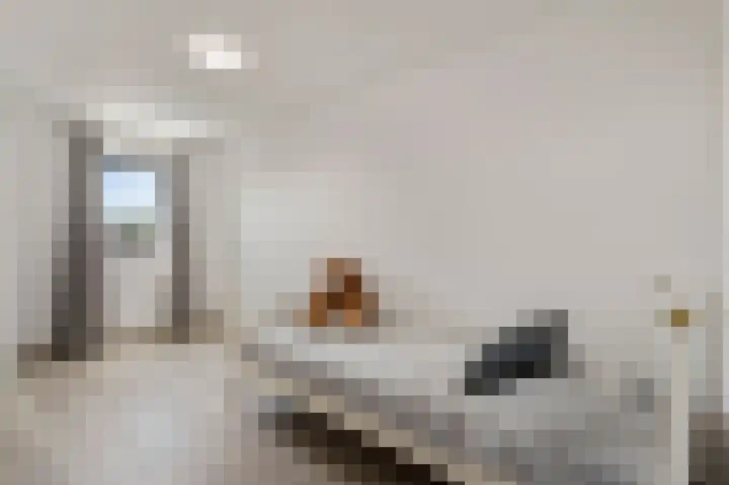 Klein Belgie 59 Vijfhuizen thumbnail 21
