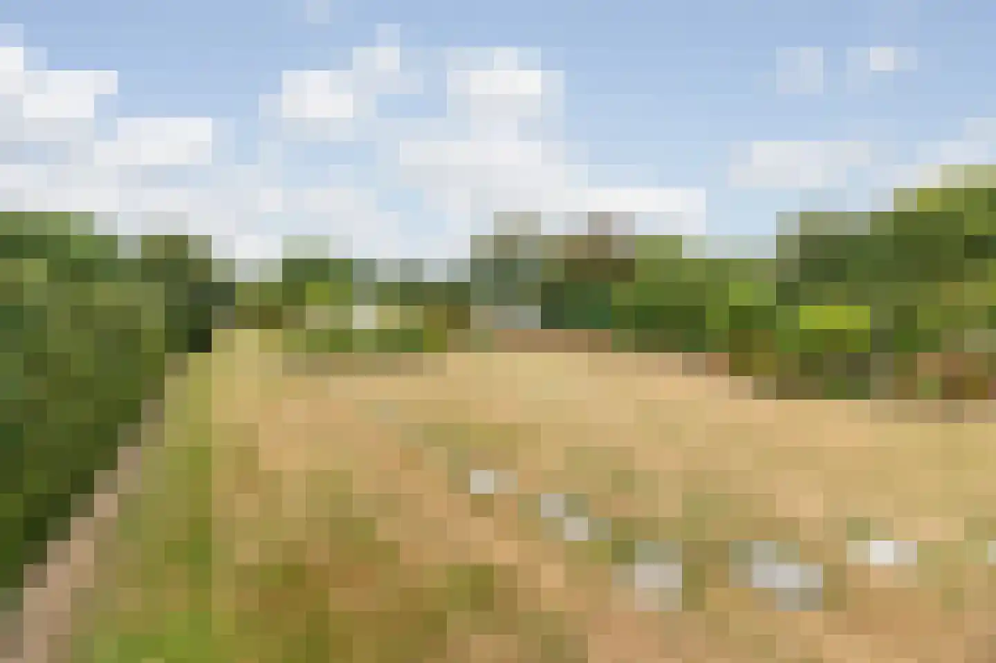 Klein Belgie 59 Vijfhuizen thumbnail 25
