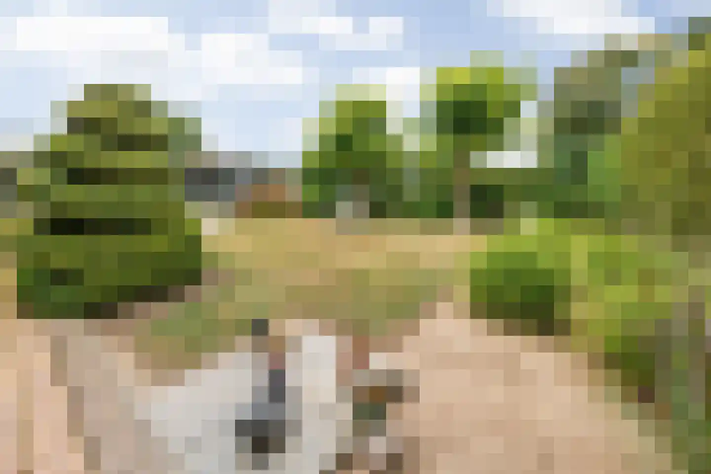 Klein Belgie 59 Vijfhuizen thumbnail 26