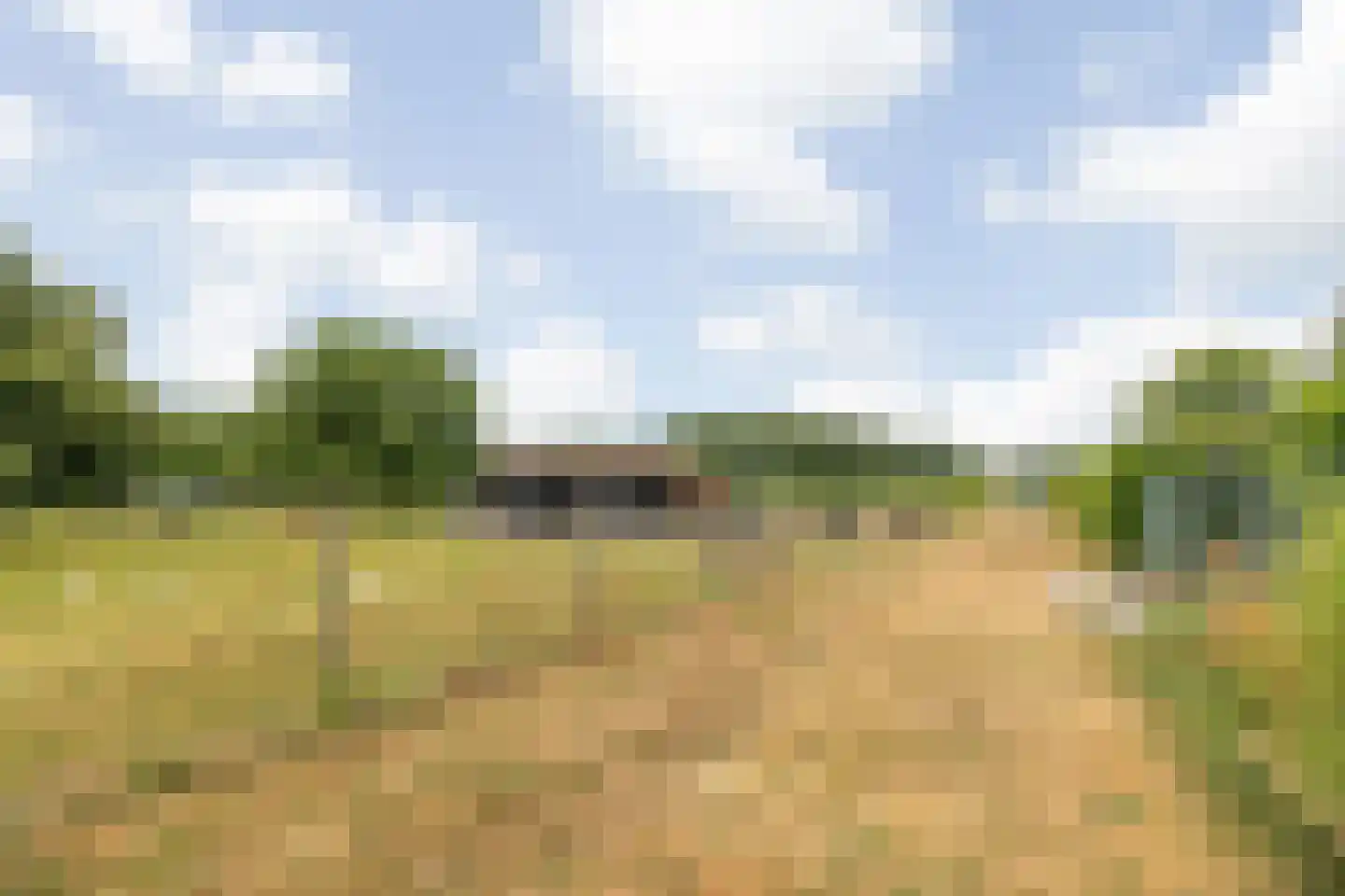 Klein Belgie 59 Vijfhuizen thumbnail 27