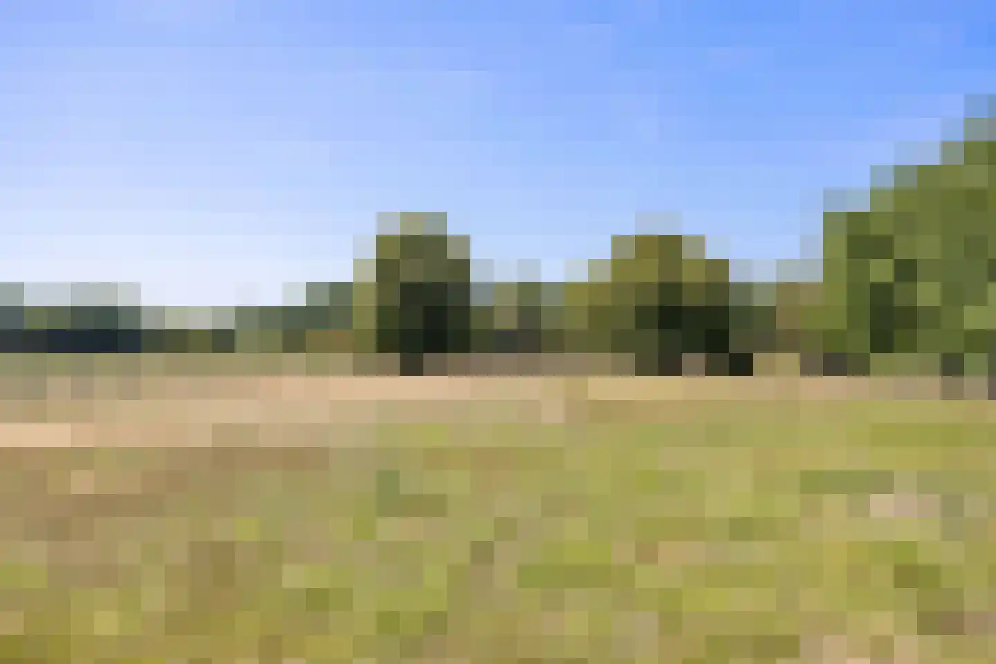 Klein Belgie 59 Vijfhuizen thumbnail 28