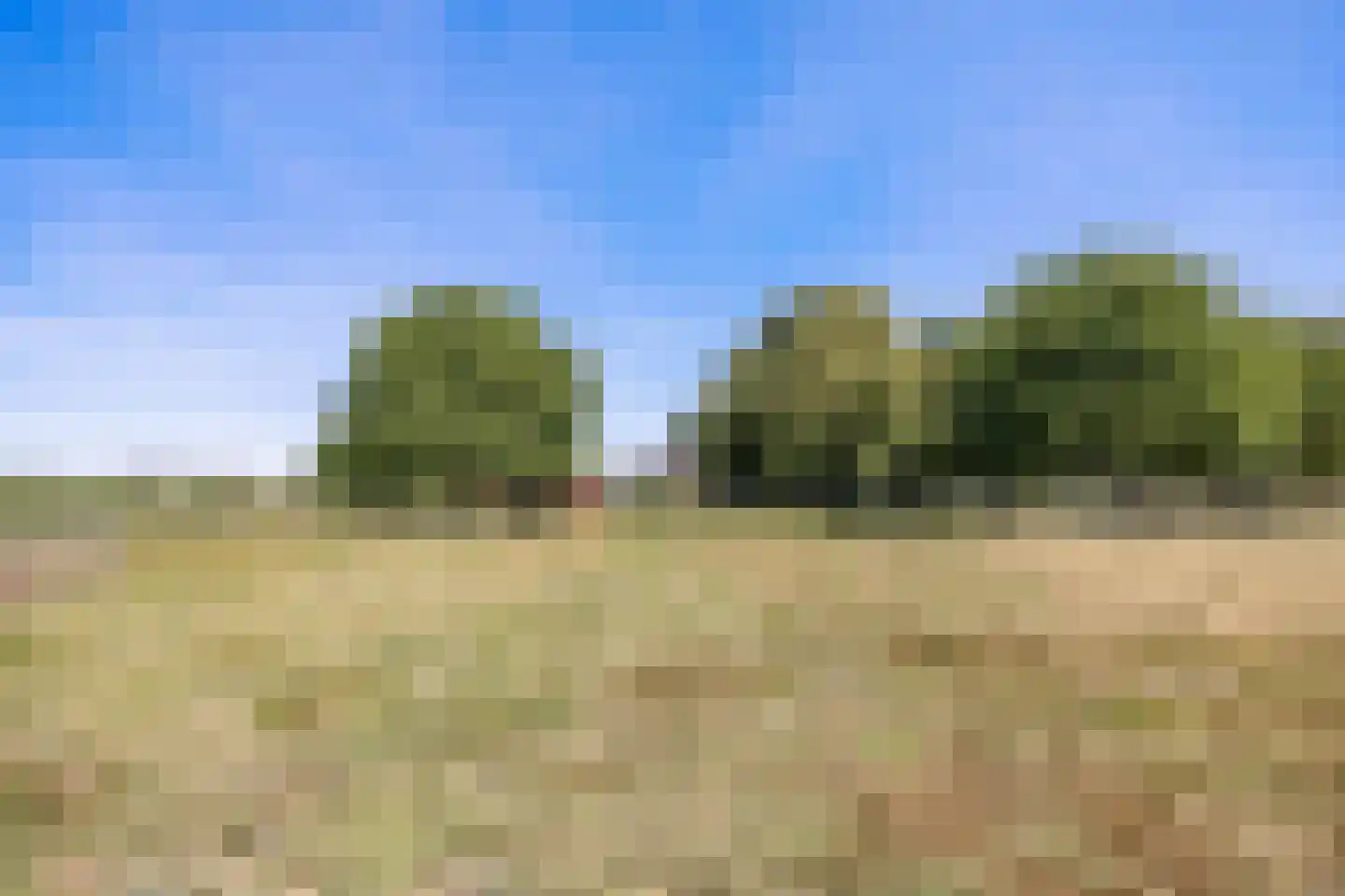 Klein Belgie 59 Vijfhuizen thumbnail 31