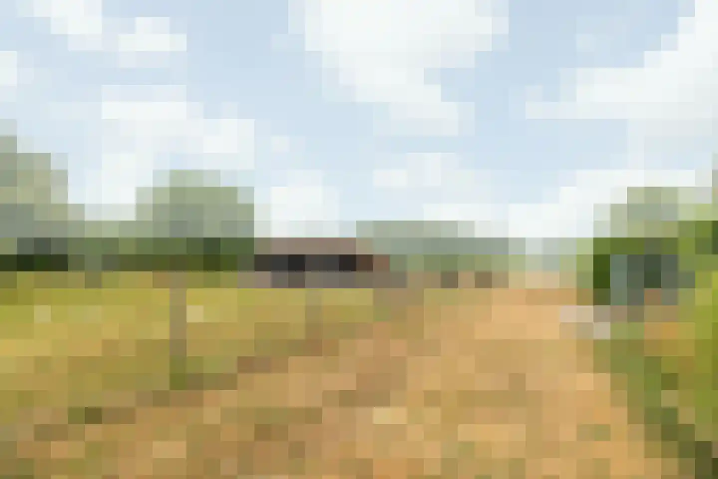 Klein Belgie 59 Vijfhuizen thumbnail 32