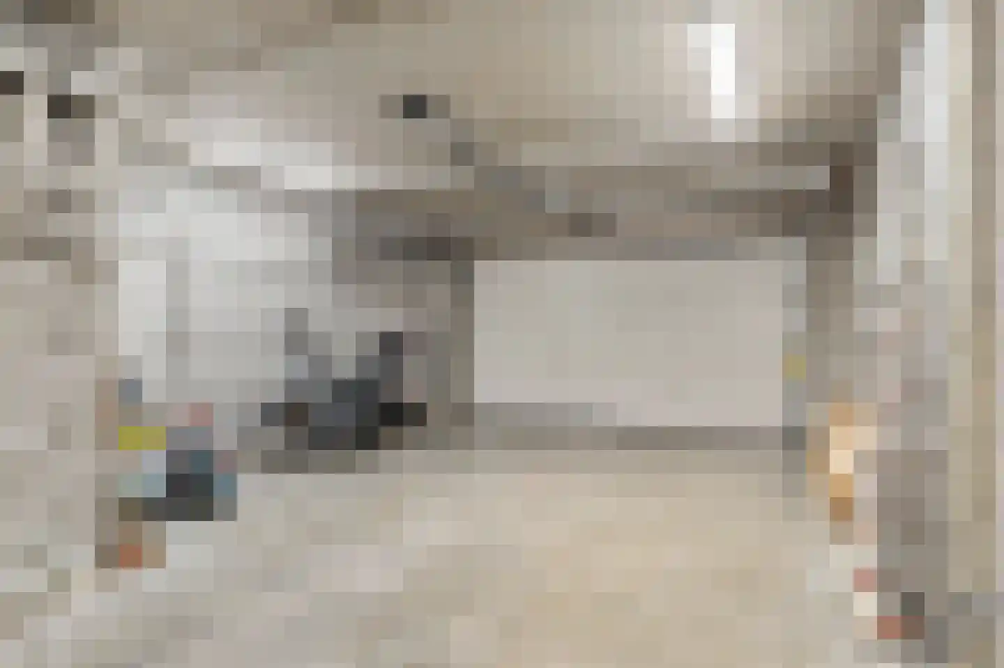 Klein Belgie 59 Vijfhuizen thumbnail 32