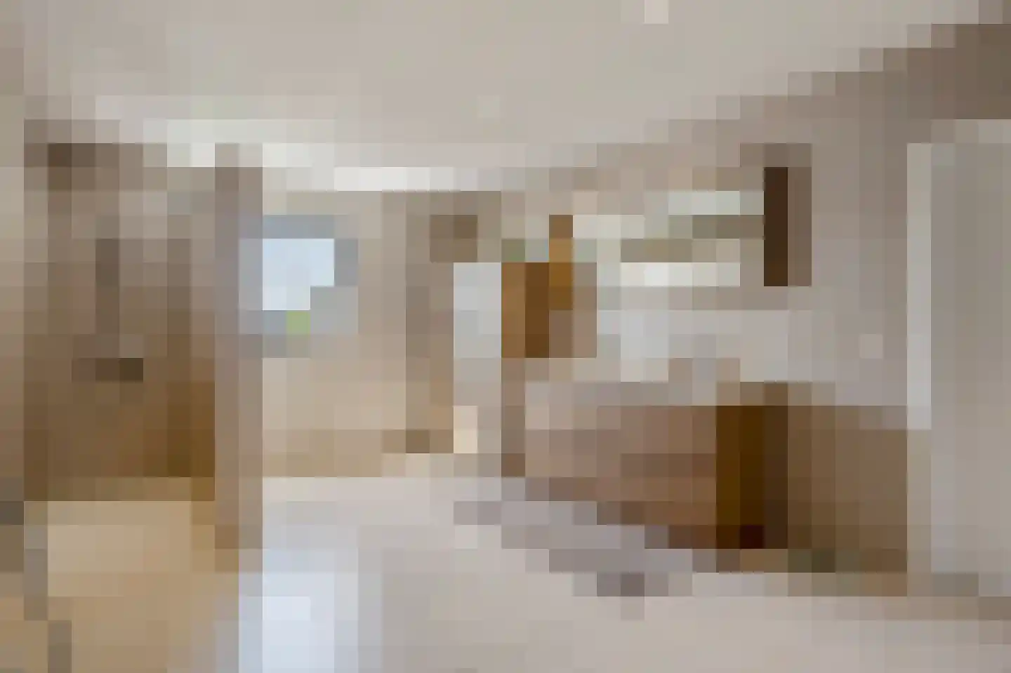 Klein Belgie 59 Vijfhuizen thumbnail 5
