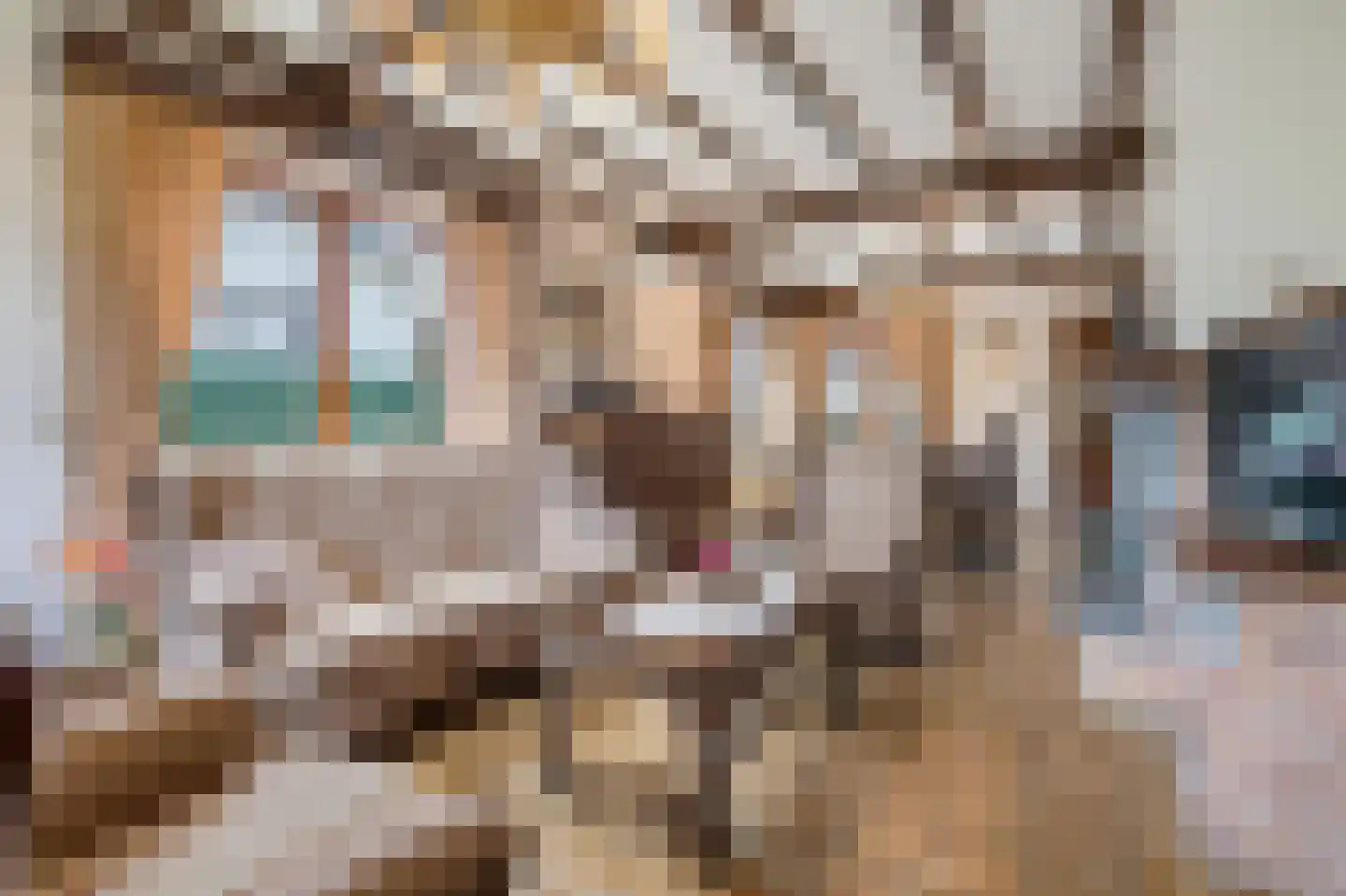 Klein Belgie 59 Vijfhuizen thumbnail 6