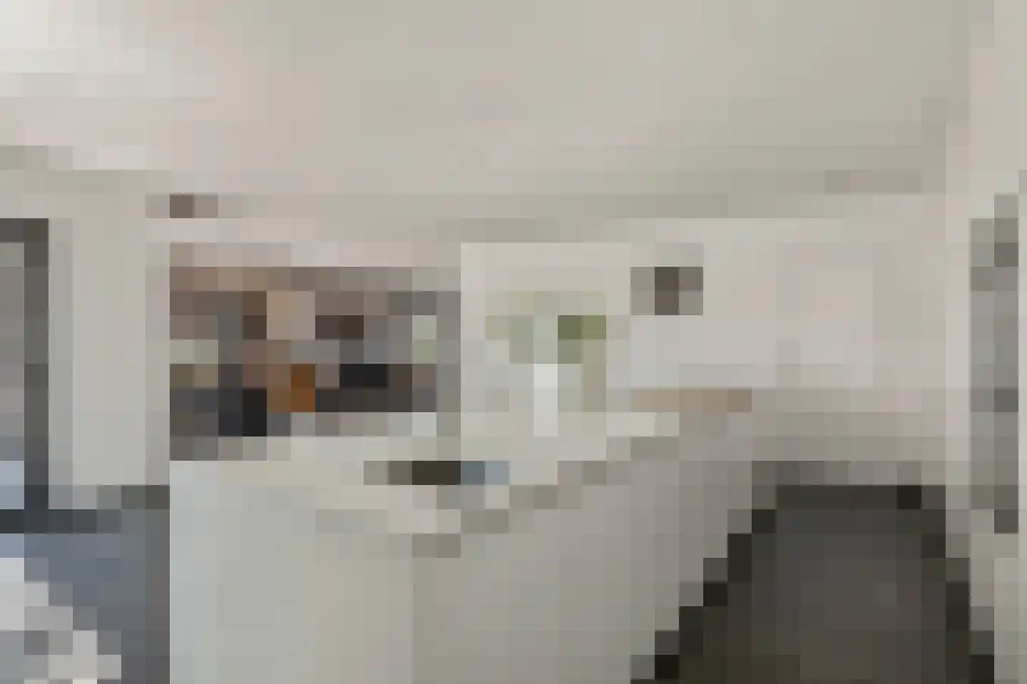 Klein Belgie 59 Vijfhuizen thumbnail 9