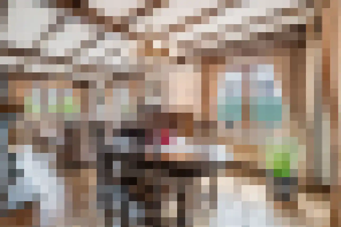 Klein Belgie 59 Vijfhuizen thumbnail 9