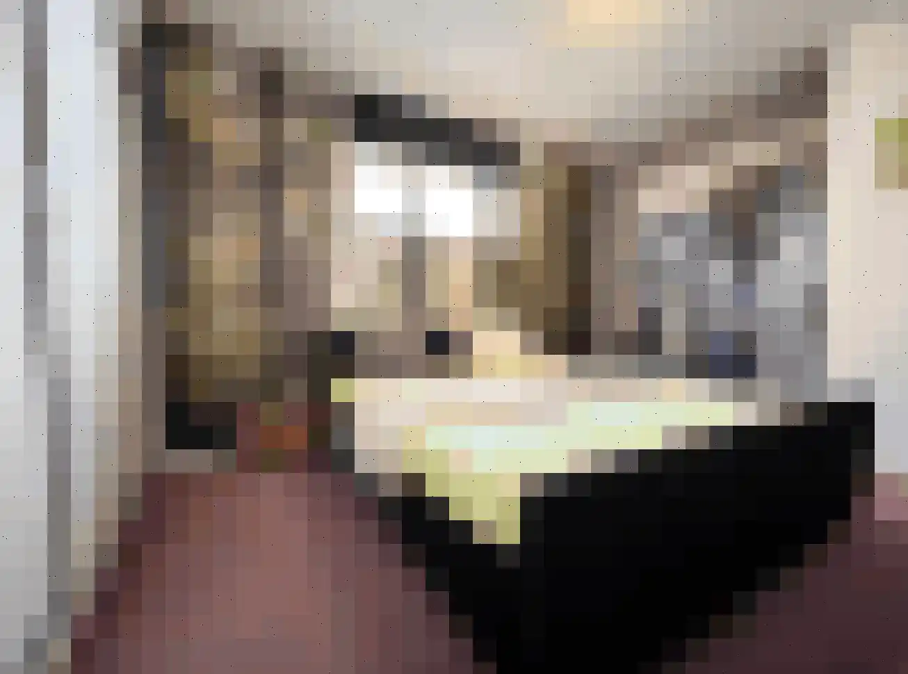 Klein Belgie 6 2 Vijfhuizen thumbnail 11