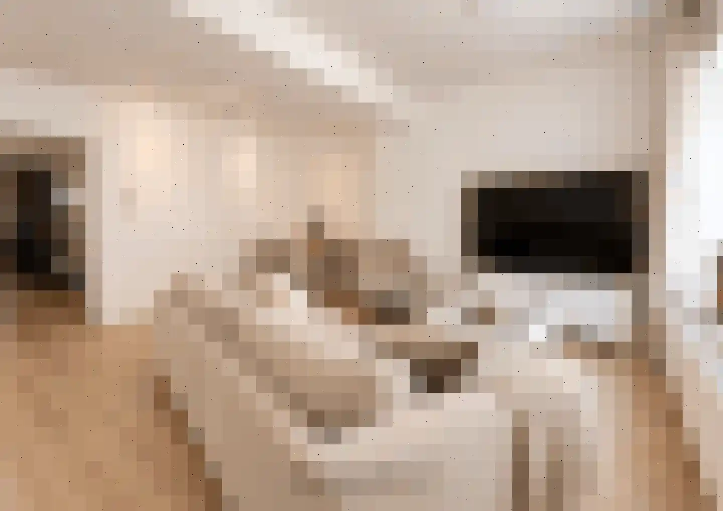Klein Belgie 6 2 Vijfhuizen thumbnail 5