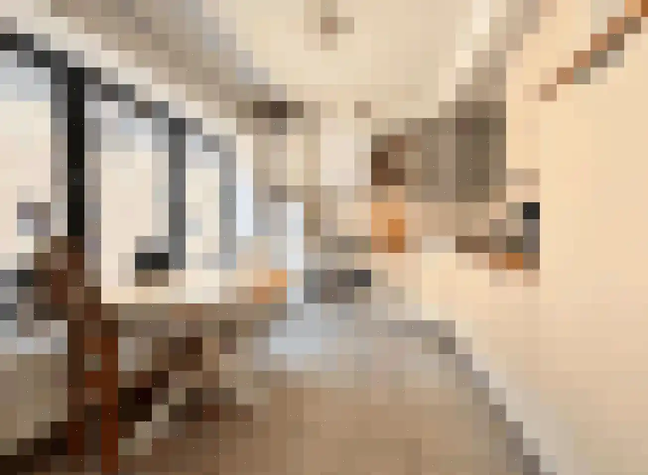 Klein Belgie 6 2 Vijfhuizen thumbnail 6