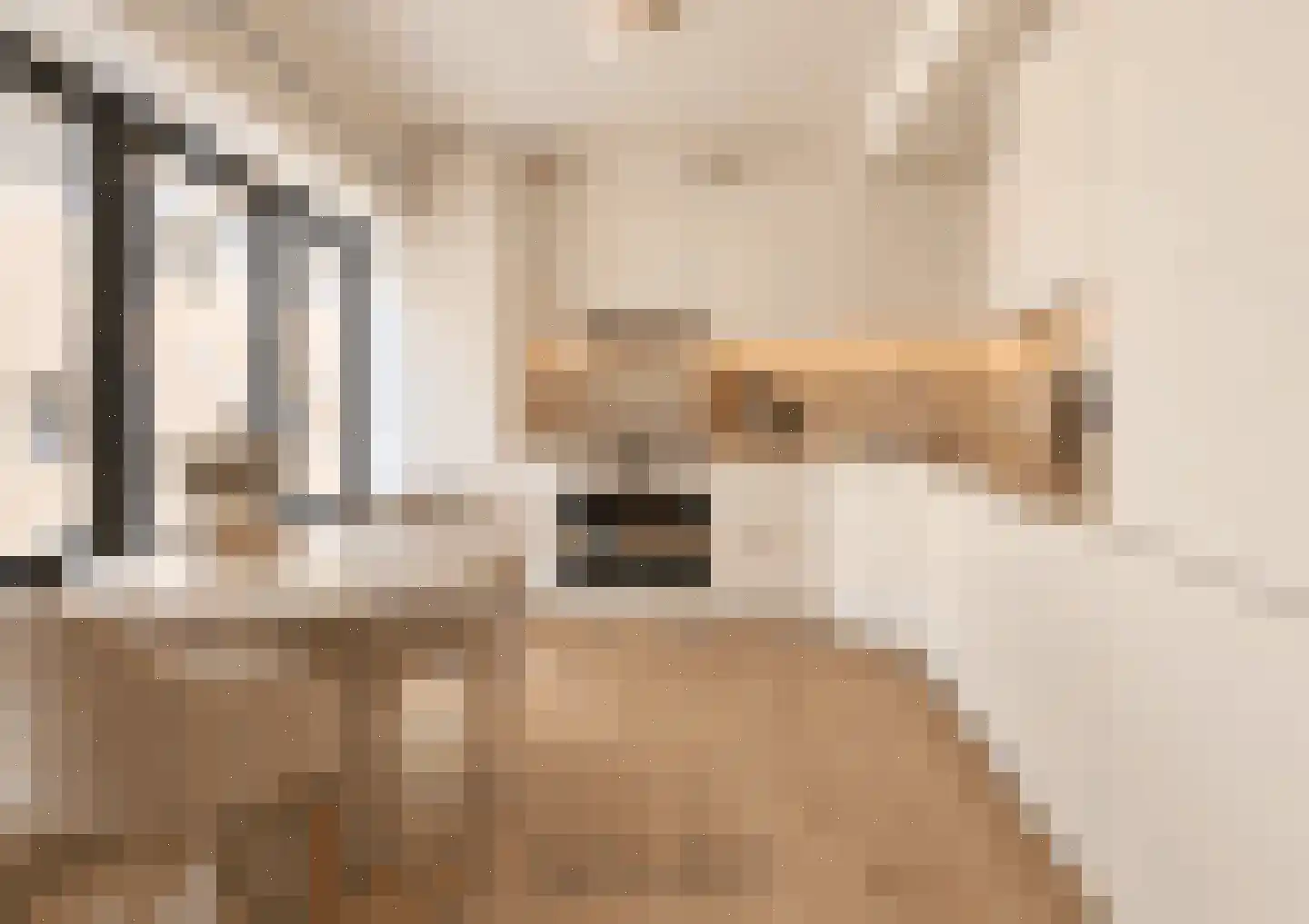 Klein Belgie 6 2 Vijfhuizen thumbnail 7