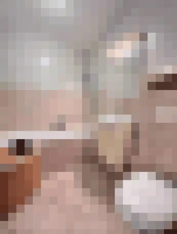 Klein Belgie 6 2 Vijfhuizen thumbnail 8