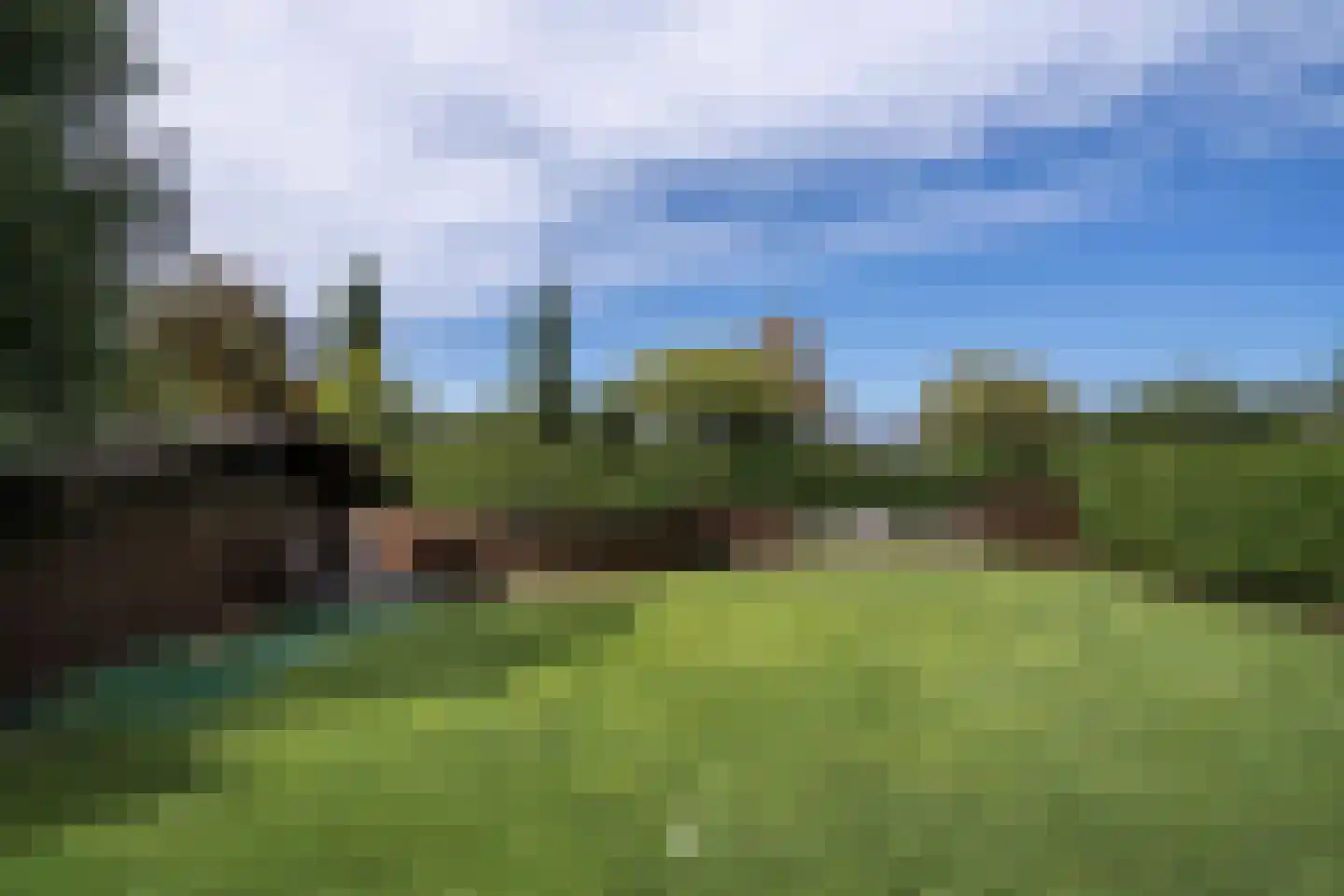 Klein Belgie 6 Vijfhuizen thumbnail 10